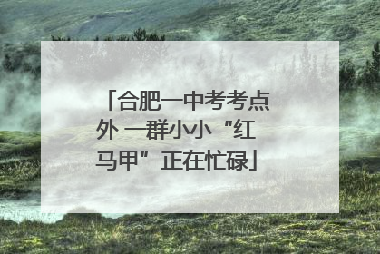合肥一中考考点外 一群小小“红马甲”正在忙碌