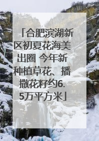 合肥滨湖新区初夏花海美出圈 今年新种植草花、播撒花籽约6.5万平方米