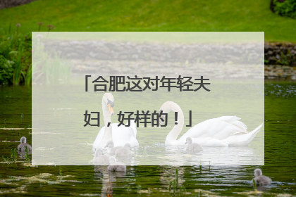 合肥这对年轻夫妇，好样的！