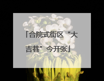 合院式街区“大吉巷”今开张