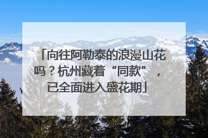 向往阿勒泰的浪漫山花吗？杭州藏着“同款”，已全面进入盛花期