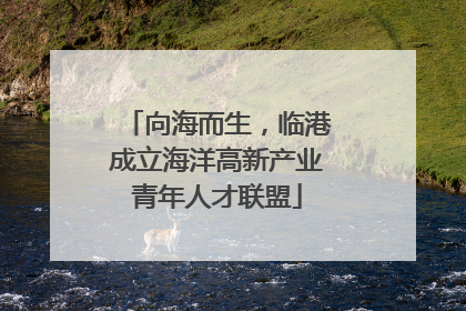 向海而生，临港成立海洋高新产业青年人才联盟