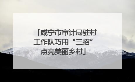 咸宁市审计局驻村工作队巧用“三招”点亮美丽乡村