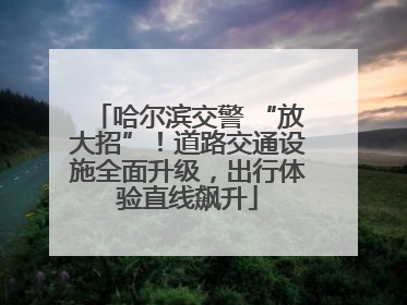 哈尔滨交警 “放大招”！道路交通设施全面升级，出行体验直线飙升
