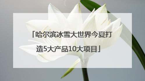 哈尔滨冰雪大世界今夏打造5大产品10大项目
