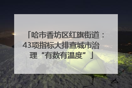 哈市香坊区红旗街道：43项指标大排查城市治理“有数有温度”