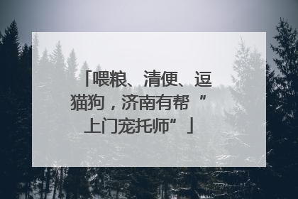 喂粮、清便、逗猫狗，济南有帮“上门宠托师”