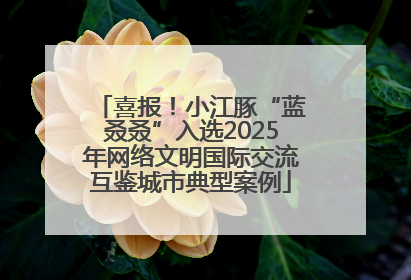 喜报！小江豚“蓝叒叒”入选2025年网络文明国际交流互鉴城市典型案例