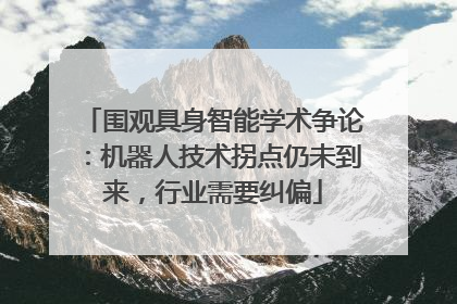 围观具身智能学术争论：机器人技术拐点仍未到来，行业需要纠偏