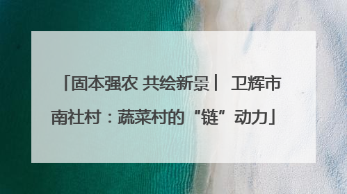 固本强农 共绘新景 ︳卫辉市南社村：蔬菜村的“链”动力