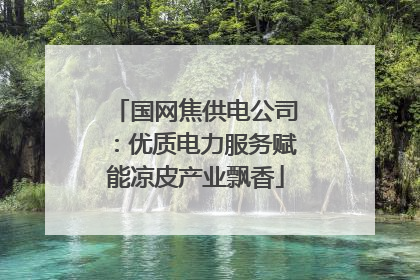 国网焦供电公司：优质电力服务赋能凉皮产业飘香