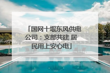 国网十堰东风供电公司：支部共建 居民用上安心电