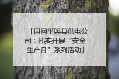 国网平舆县供电公司：扎实开展“安全生产月”系列活动