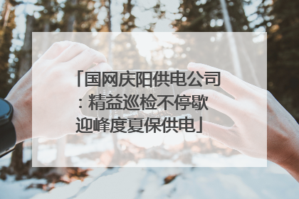 国网庆阳供电公司：精益巡检不停歇 迎峰度夏保供电