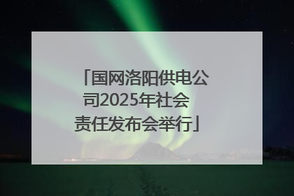 国网洛阳供电公司2025年社会责任发布会举行