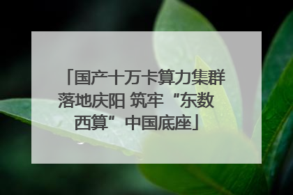 国产十万卡算力集群落地庆阳 筑牢“东数西算”中国底座