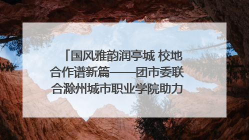 国风雅韵润亭城 校地合作谱新篇——团市委联合滁州城市职业学院助力传统文化“破圈”绽放