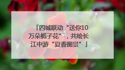 四城联动“送你10万朵栀子花”，共绘长江中游“夏香图景”