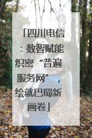 四川电信：数智赋能织密“普遍服务网”，绘就巴蜀新画卷