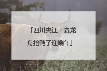 四川夹江：赛龙舟抢鸭子迎端午