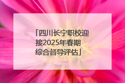 四川长宁职校迎接2025年春期综合督导评估