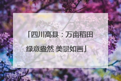四川高县：万亩稻田绿意盎然 美景如画