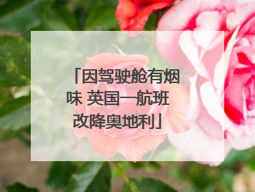 因驾驶舱有烟味 英国一航班改降奥地利