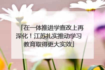 在一体推进学查改上再深化！江苏扎实推动学习教育取得更大实效
