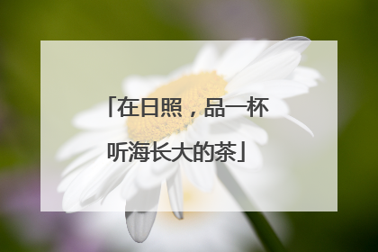 在日照，品一杯听海长大的茶