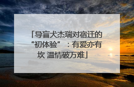 导盲犬杰瑞对宿迁的“初体验”：有爱亦有坎 温情破万难