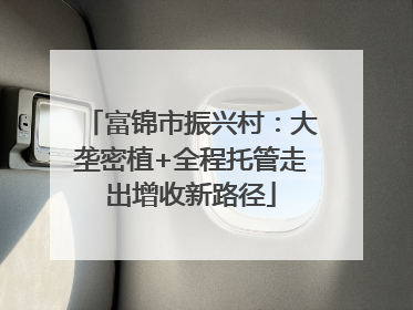 富锦市振兴村：大垄密植+全程托管走出增收新路径