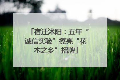 宿迁沭阳：五年“诚信实验”擦亮“花木之乡”招牌