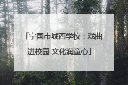 宁国市城西学校：戏曲进校园 文化润童心