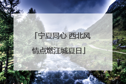 宁夏同心 西北风情点燃江城夏日