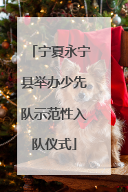 宁夏永宁县举办少先队示范性入队仪式