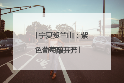 宁夏贺兰山：紫色葡萄酿芬芳