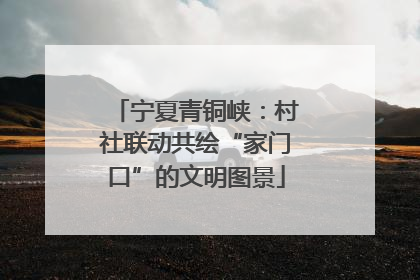 宁夏青铜峡：村社联动共绘“家门口”的文明图景