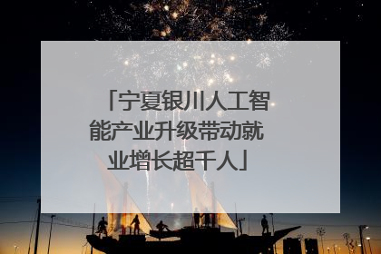 宁夏银川人工智能产业升级带动就业增长超千人