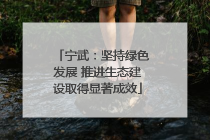 宁武：坚持绿色发展 推进生态建设取得显著成效