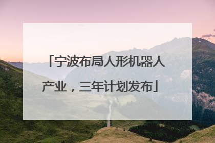 宁波布局人形机器人产业，三年计划发布