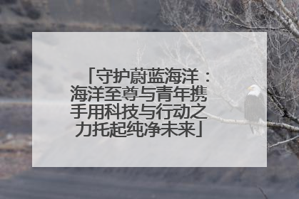 守护蔚蓝海洋：海洋至尊与青年携手用科技与行动之力托起纯净未来