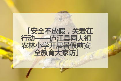 安全不放假，关爱在行动——庐江县同大镇农林小学开展暑假前安全教育大家访