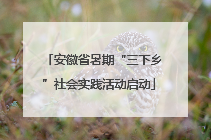 安徽省暑期“三下乡”社会实践活动启动