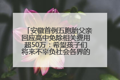 安徽首例五胞胎父亲回应高中免除相关费用超50万：希望孩子们将来不辜负社会各界的帮助与支持
