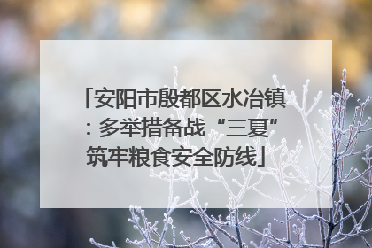 安阳市殷都区水冶镇：多举措备战“三夏” 筑牢粮食安全防线
