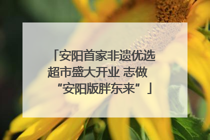 安阳首家非遗优选超市盛大开业 志做“安阳版胖东来”