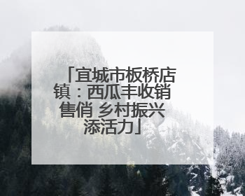 宜城市板桥店镇：西瓜丰收销售俏 乡村振兴添活力