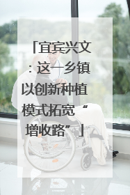 宜宾兴文：这一乡镇以创新种植模式拓宽“增收路”