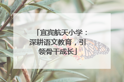 宜宾航天小学：深耕语文教育，引领骨干成长