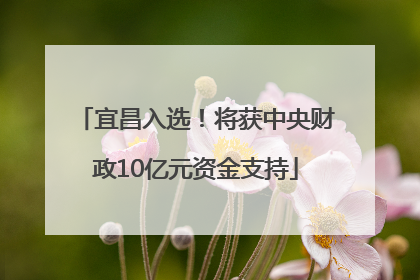 宜昌入选！将获中央财政10亿元资金支持